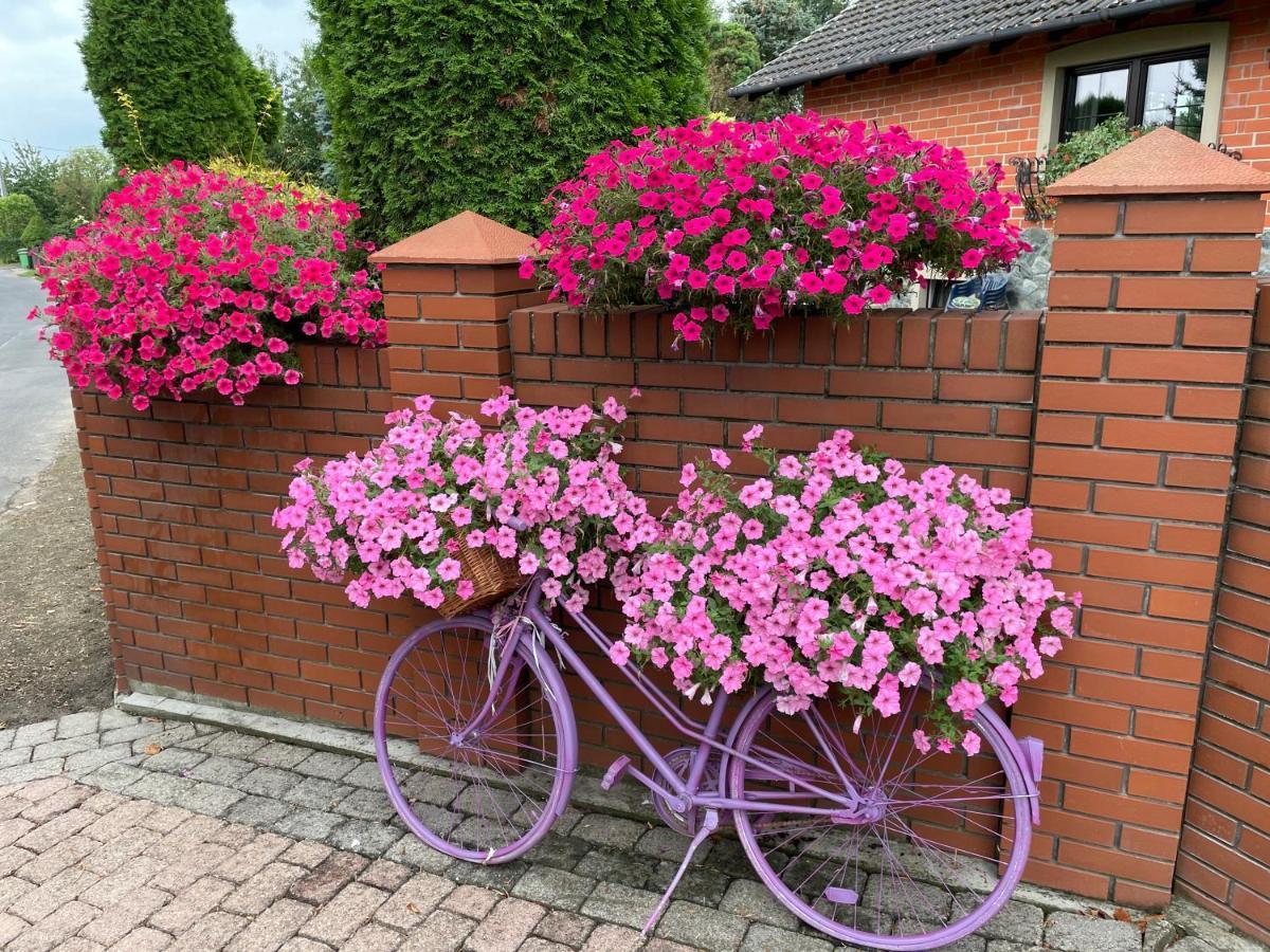 Hortus Apartament Z Klimatyzacja Boleslawiec  Esterno foto
