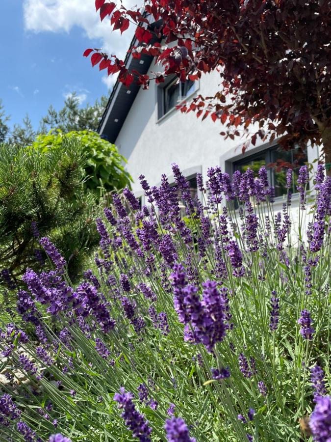 Hortus Apartament Z Klimatyzacja Boleslawiec  Esterno foto