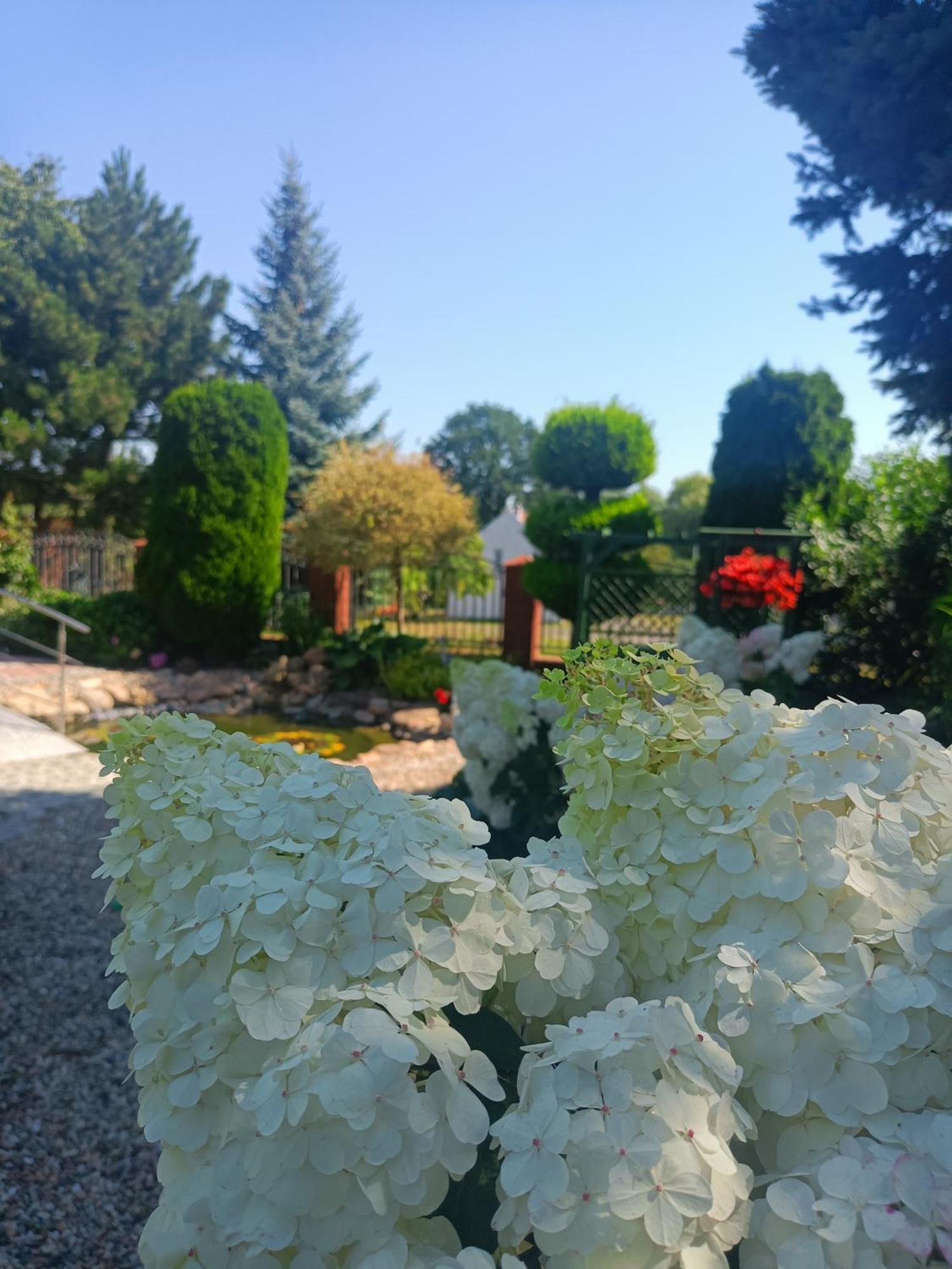 Hortus Apartament Z Klimatyzacja Boleslawiec  Esterno foto