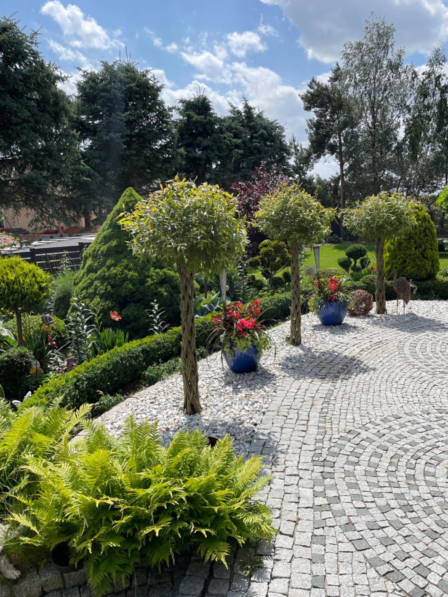 Hortus Apartament Z Klimatyzacja Boleslawiec  Esterno foto