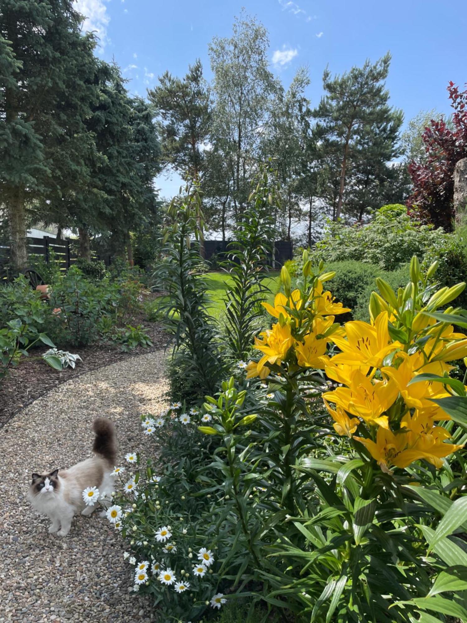 Hortus Apartament Z Klimatyzacja Boleslawiec  Esterno foto