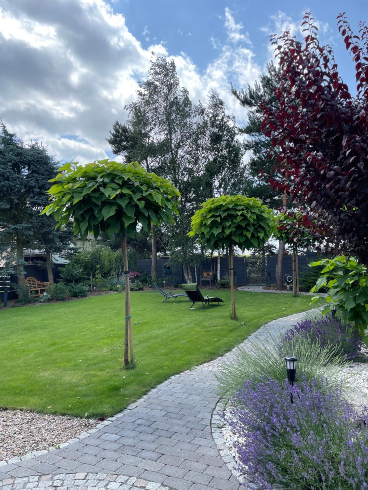Hortus Apartament Z Klimatyzacja Boleslawiec  Esterno foto