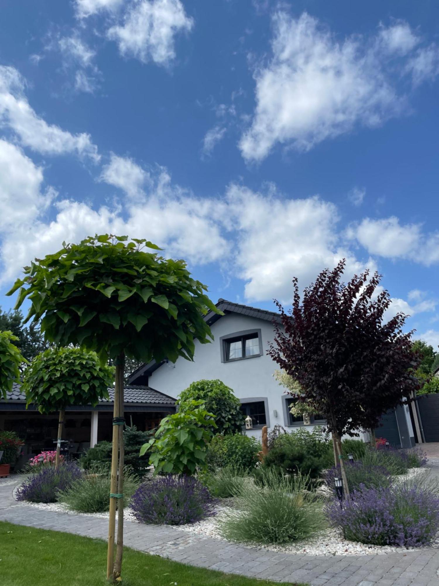Hortus Apartament Z Klimatyzacja Boleslawiec  Esterno foto